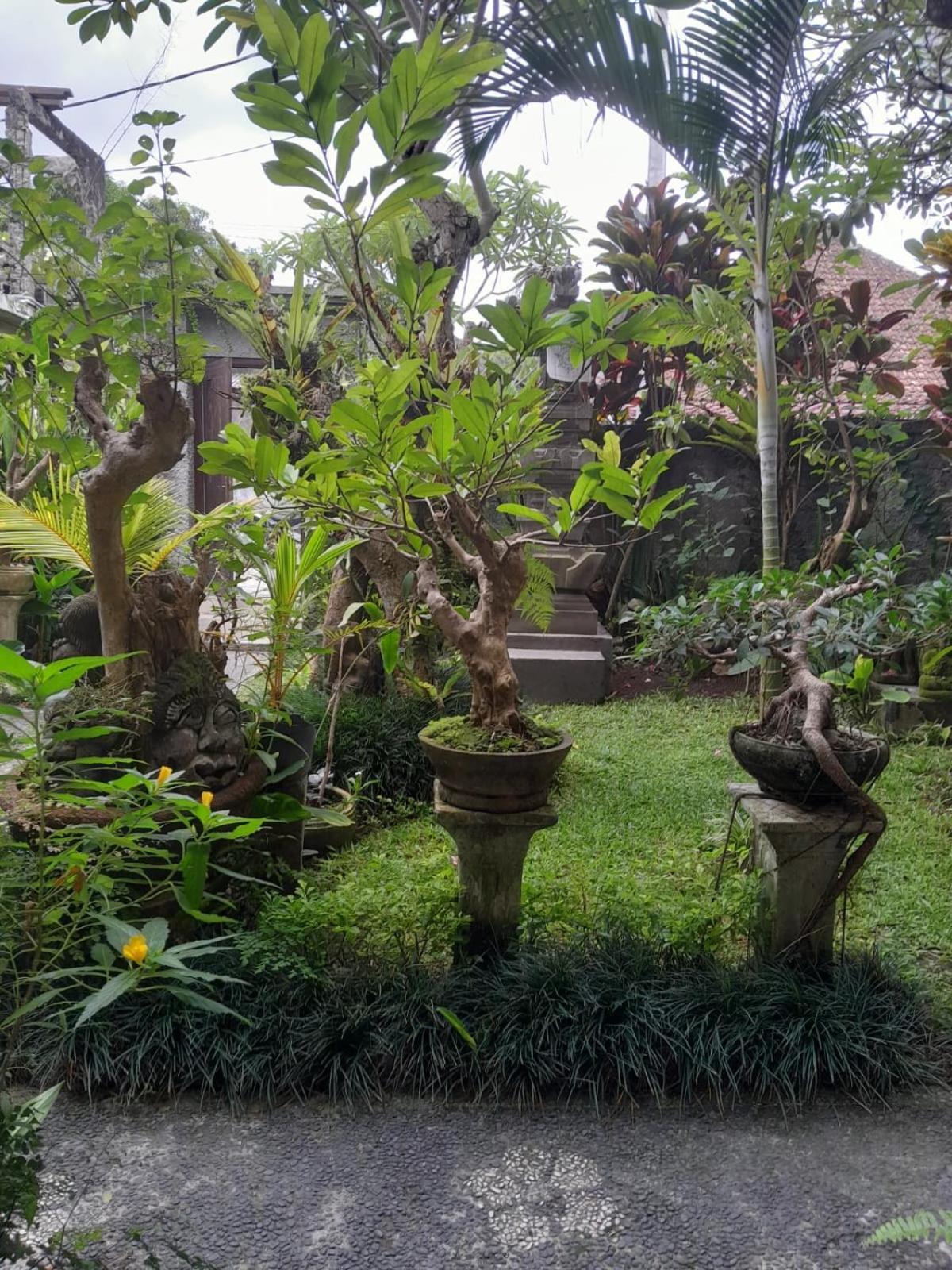 Soka Homestay Ubud Eksteriør billede