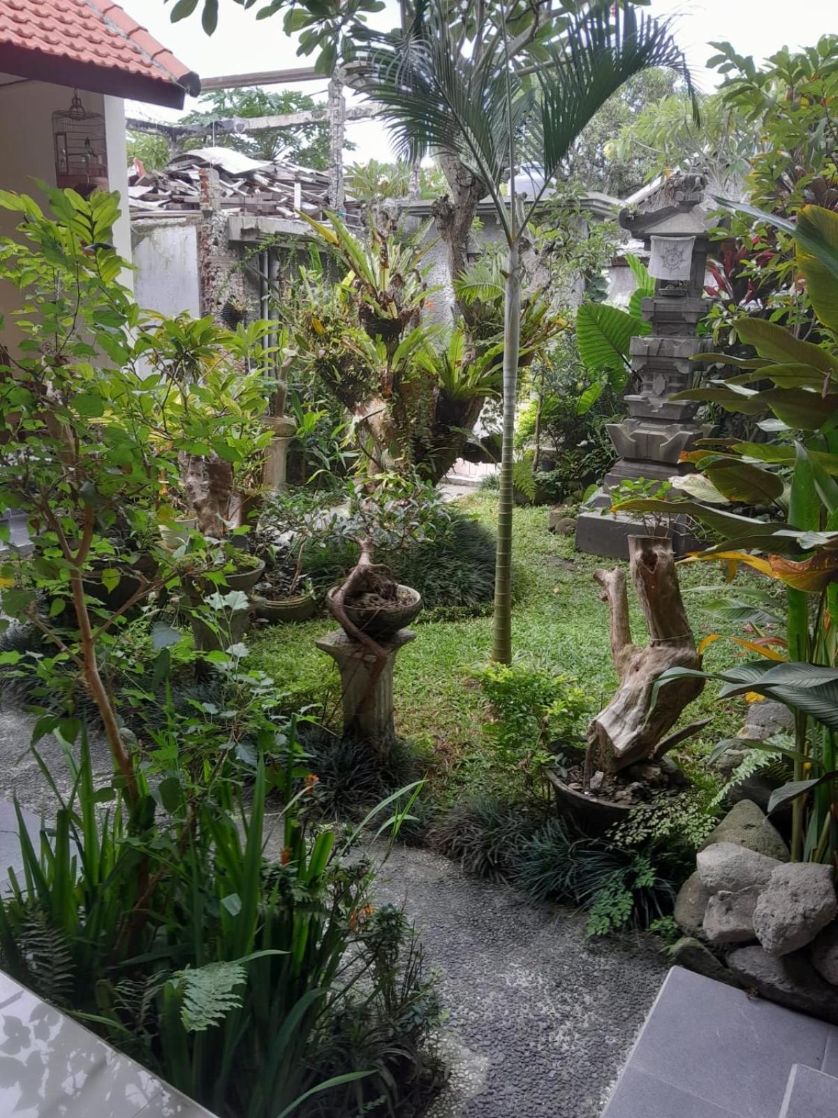 Soka Homestay Ubud Eksteriør billede