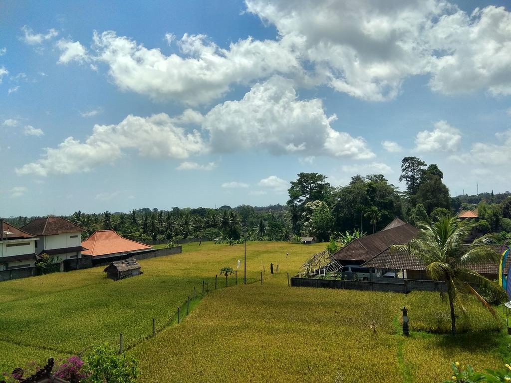 Soka Homestay Ubud Eksteriør billede