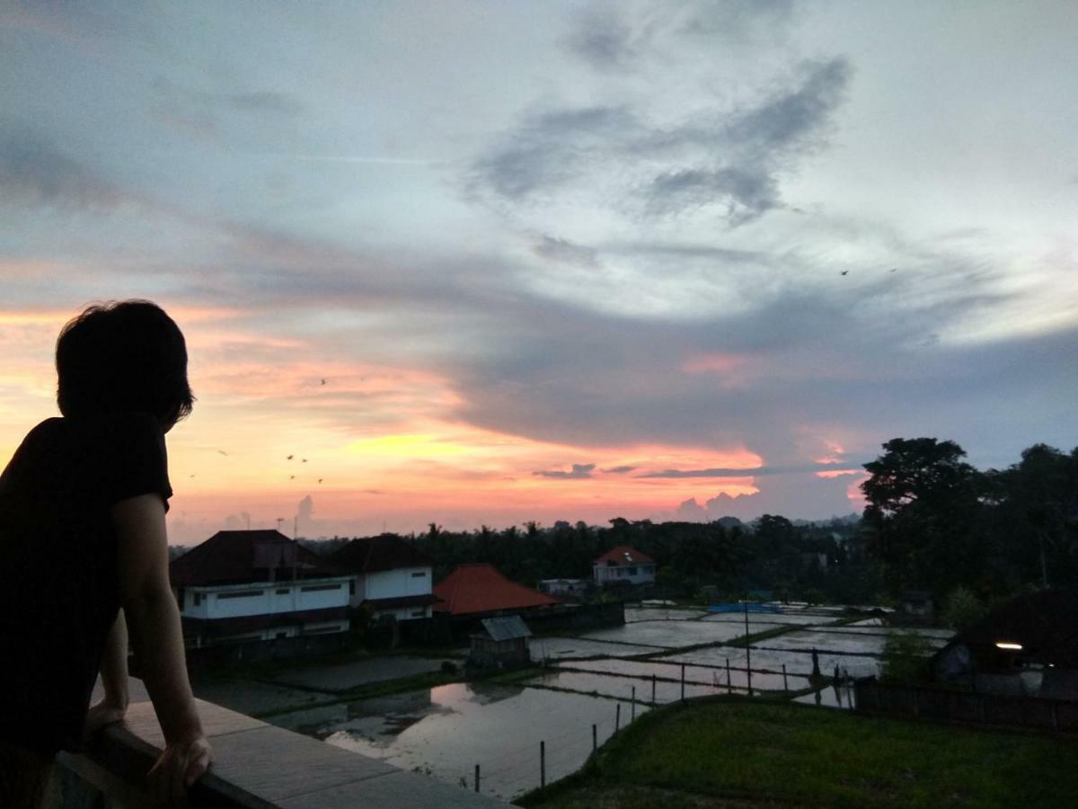 Soka Homestay Ubud Eksteriør billede